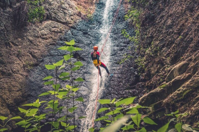 gran-canaria-canyoning-in-the-rainforest-2