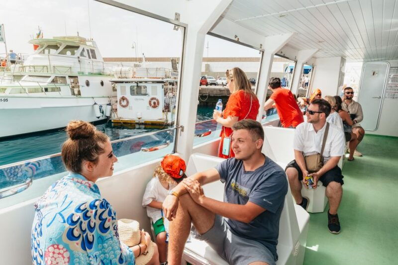 gran-canaria-dolphin-and-whale-watching-cruise