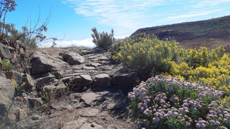 gran-canaria-full-day-guided-hiking-with-snacks