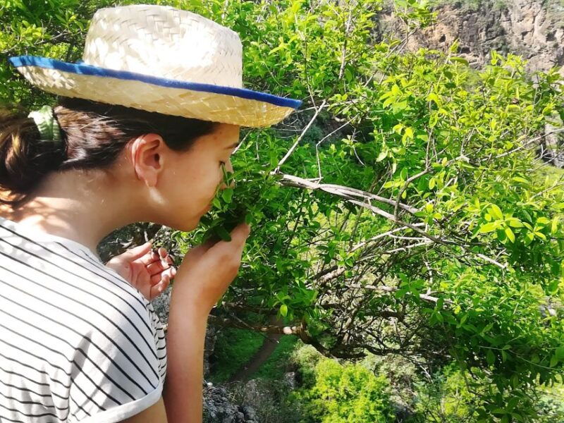gran-canaria-green-witchcraft-in-the-magic-island