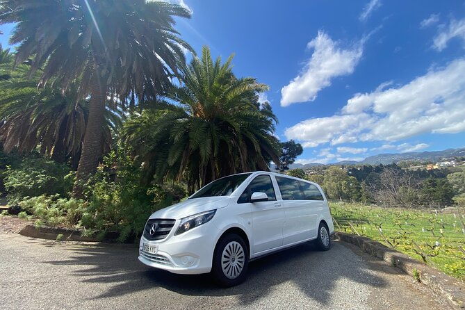 gran-canaria-pocket-wine-experience