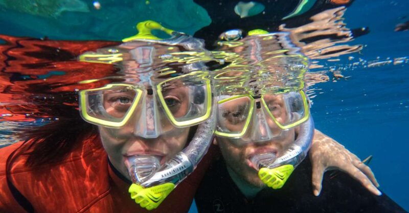 gran-canaria-snorkel-tour-with-boat-on-the-west-coast
