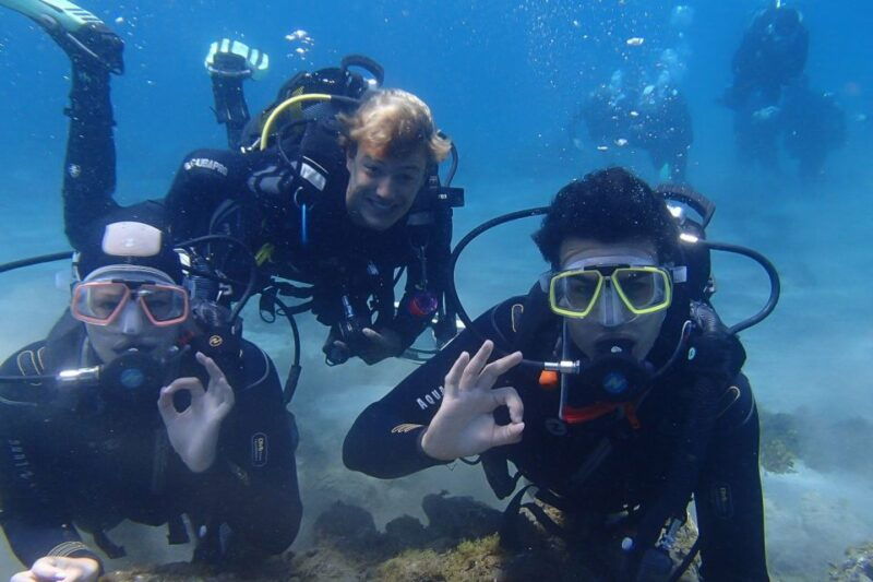 gran-canarialive-an-adventure-and-learn-to-dive-with-expert