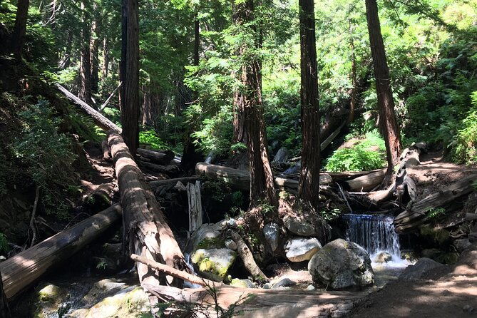guided-full-day-big-sur-hiking-adventure-with-lunch