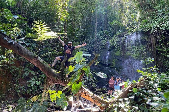 guided-hiking-tour-by-the-mystic-ebano-rainforest-in-costa-rica
