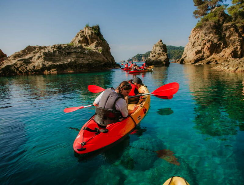 guided-kayak-tour-introduction-1h-15m