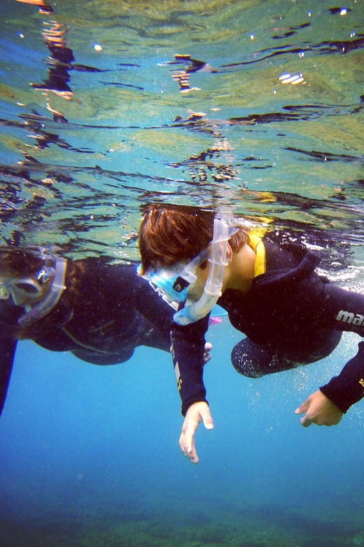 guided-snorkelling-experience-in-south-of-gran-canaria-2