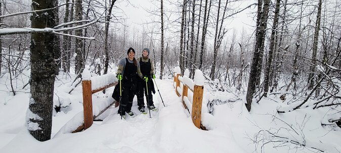 guided-snowshoeing-adventure-in-seward-alaska