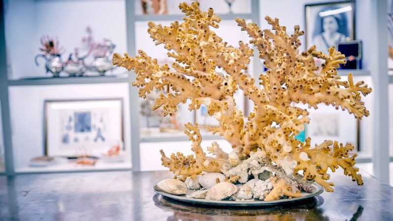 guided-tour-of-the-coral-museum-in-sciacca