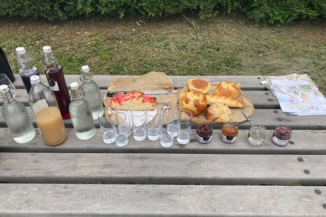 guided-tour-of-the-coteaux-cote-rotie-for-parents-and-children-duos
