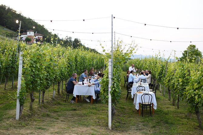guided-walk-and-lunch-in-the-vineyard-in-alba