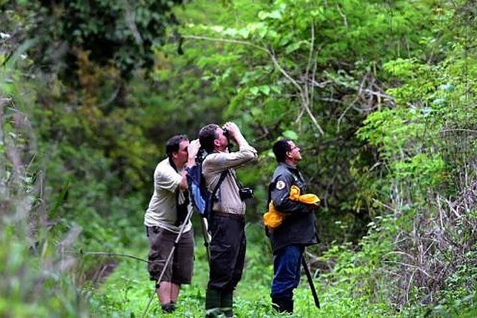half-day-birdwatching-in-cerro-blanco-from-guayaquil