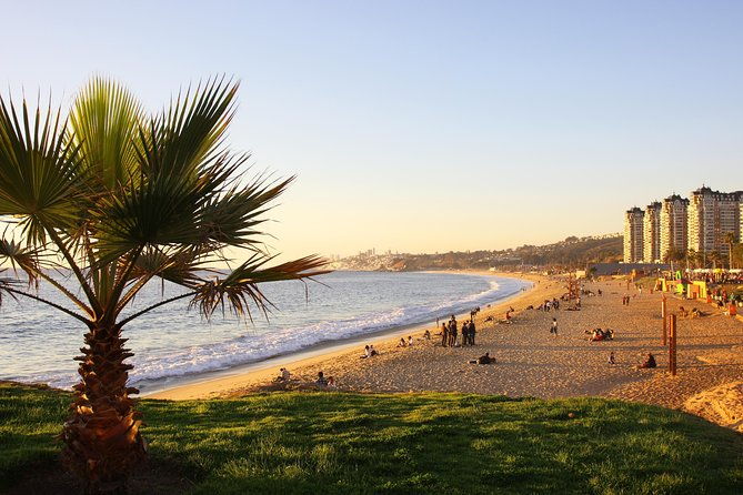half-day-chilean-pacific-coast-tour-vina-del-mar-renaca-and-concon