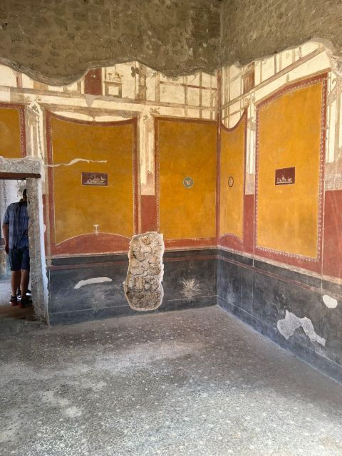 half-day-herculaneum-and-pompeii-tour-from-positano