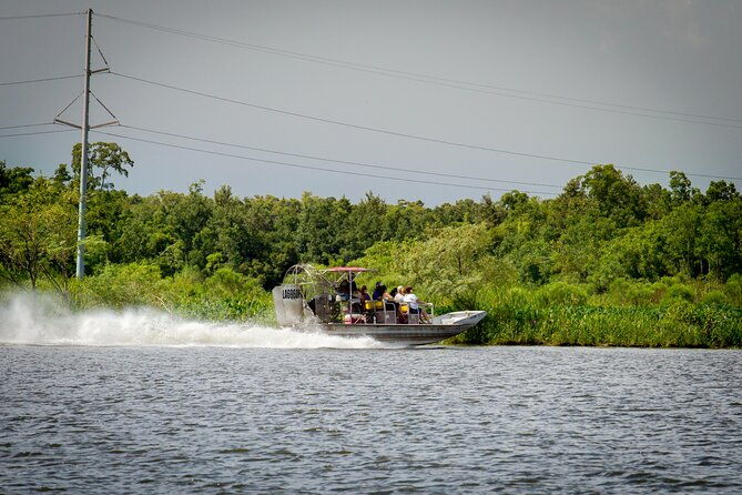half-day-private-swamp-experience-in-louisiana