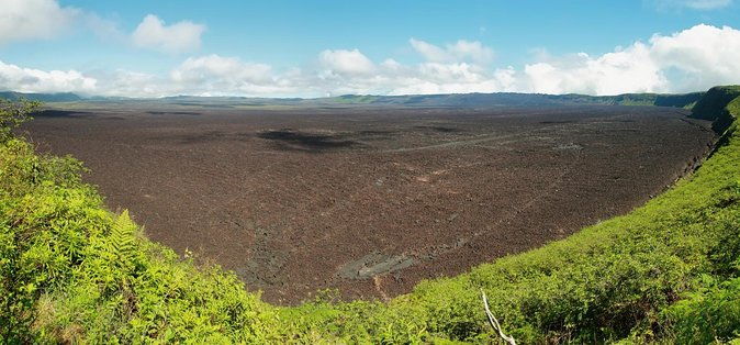 half-day-private-tour-in-sierra-negra-volcanos-sulfur-fumaroles