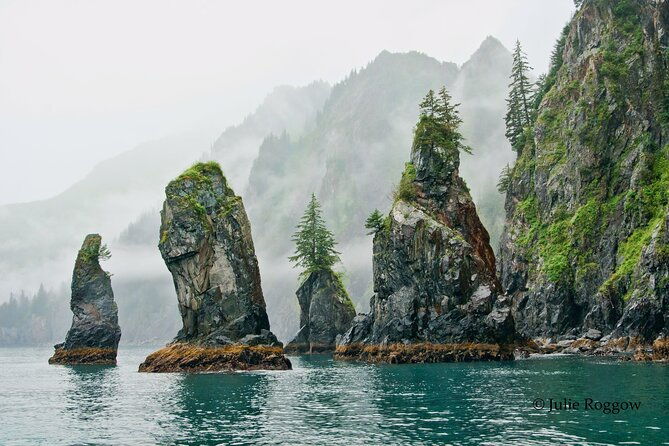 half-day-resurrection-bay-wildlife-tour-from-seward