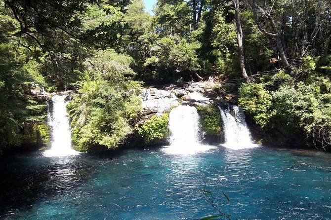 half-day-tour-to-the-eyes-of-caburgua-from-pucon