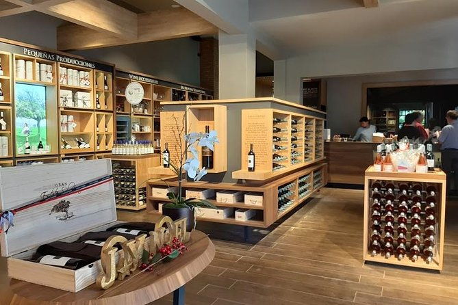half-day-wine-tour-to-concha-y-toro-from-santiago-seasonal-offer