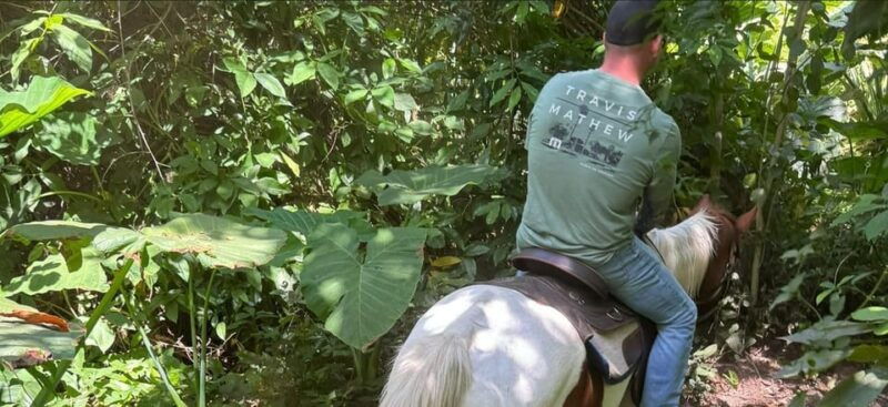 harmony-horse-riding-of-miami