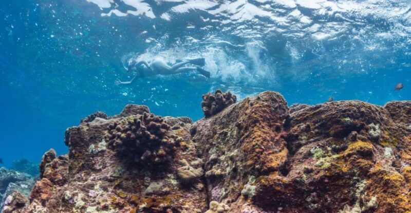 hawaii-puuhonua-o-honaunau-kealakekua-bay-snorkel-tour