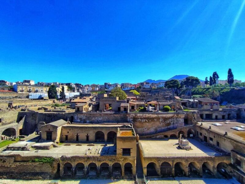 herculaneum-with-an-archaelogical-guide-ticket
