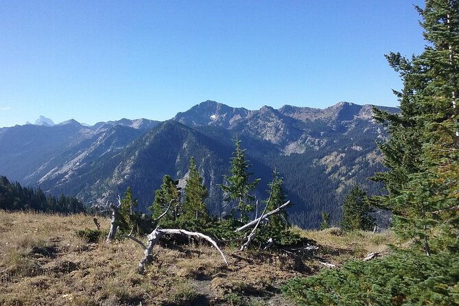high-mountain-scenic-trail-rides-in-the-teton-range