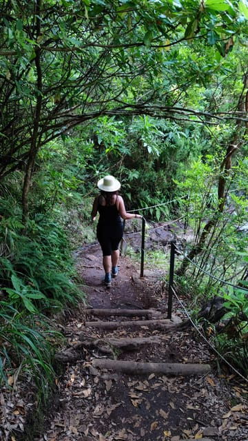 hike-in-rabacal-in-a-different-way