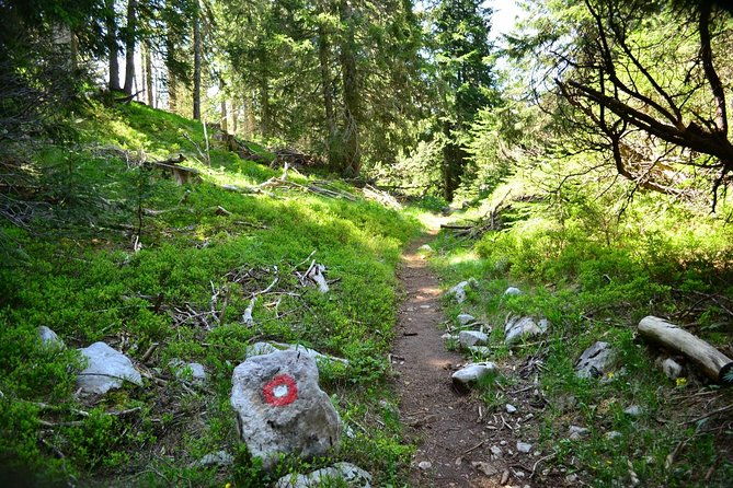 hiking-cvrsnica-mountain