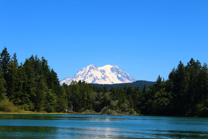 hiking-in-mount-rainier-private-tour-from-seattle