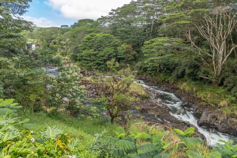 hilo-gardens-waterfalls-farmers-market-shore-excursion