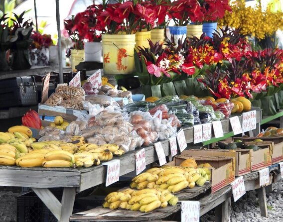 hilo-history-and-legends-app-audio-self-guided-walking-tour