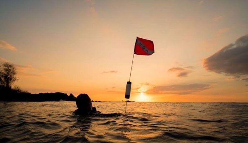 hilo-night-dive-for-certified-divers
