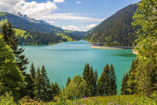 historic-interlaken-exclusive-private-tour-with-a-local-expert