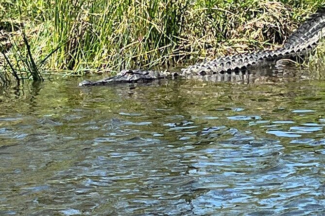 historical-scenic-bayou-swamp-water-trail-kayak-tour