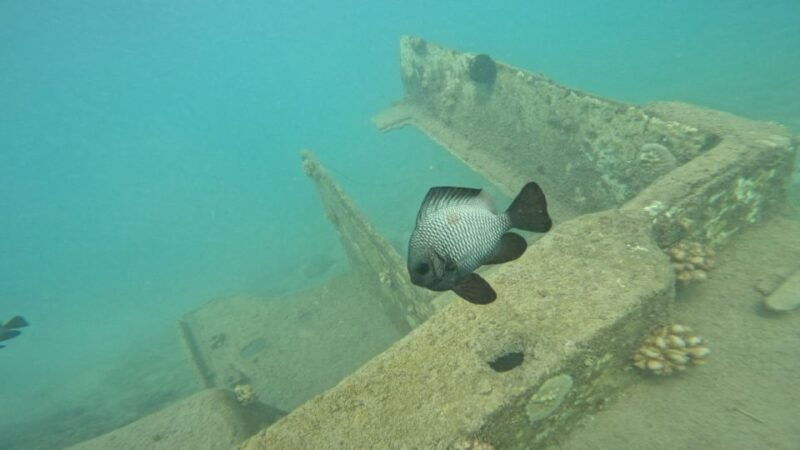 honolulu-beginner-scuba-diving-tour-with-free-videos