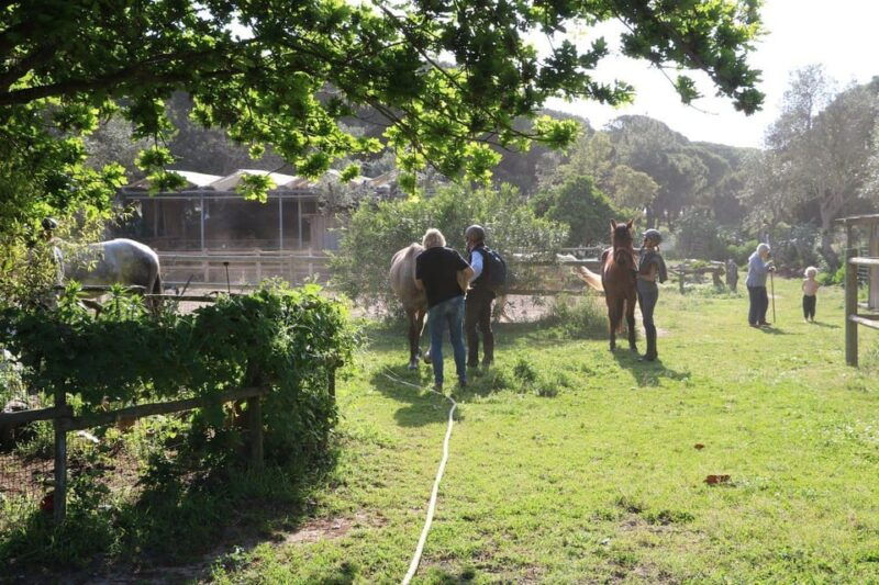 horse-riding-in-the-arrabida-valley-two-hours
