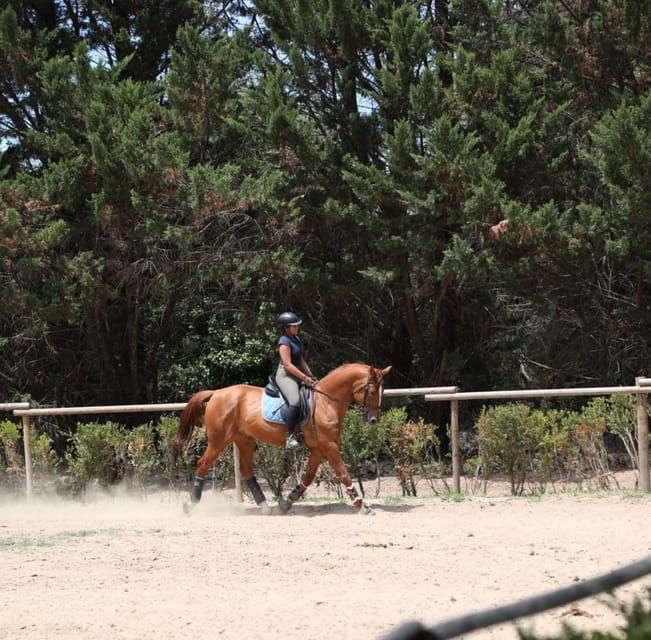 horse-riding-lesson-lunch-regional-wine-tasting
