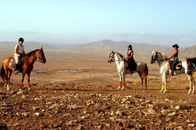 horseback-riding-in-fuerteventura-for-1-or-2-hours-spain