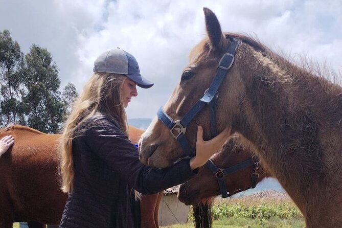 horseback-riding-private-tour-2