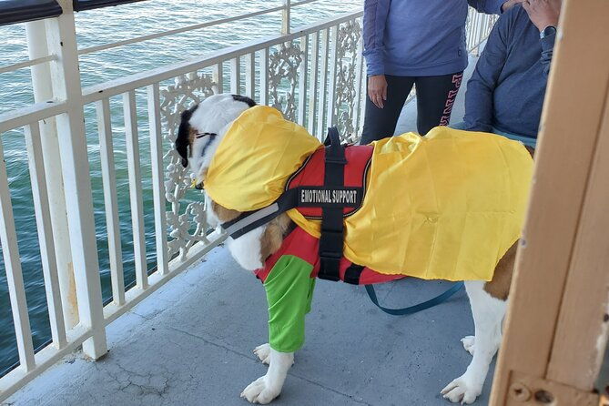 howl-o-ween-doggy-costume-party-cruise