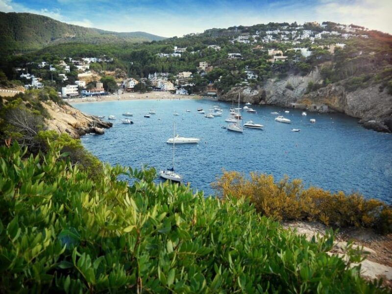 ibiza-land-sea-buggypaddle-surf