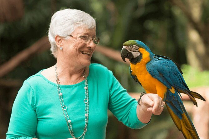 iguacu-bird-and-waterfall-park
