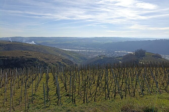 immersion-domaine-e-guigal-visit-wine-cellars-and-tasting