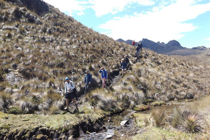 inca-trail-cajas-national-park-tour-from-cuenca