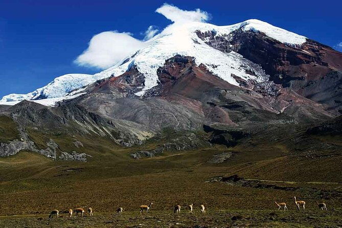 inspiring-ecuador-highligts-9-days