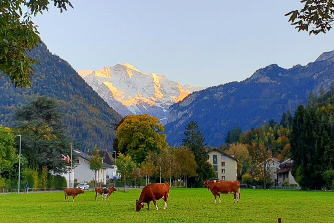 interlaken-sightseeing-lauterbrunnen-brienz-interlaken