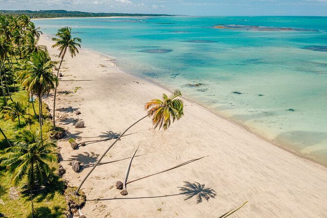 ipioca-beach-tour-from-maceio