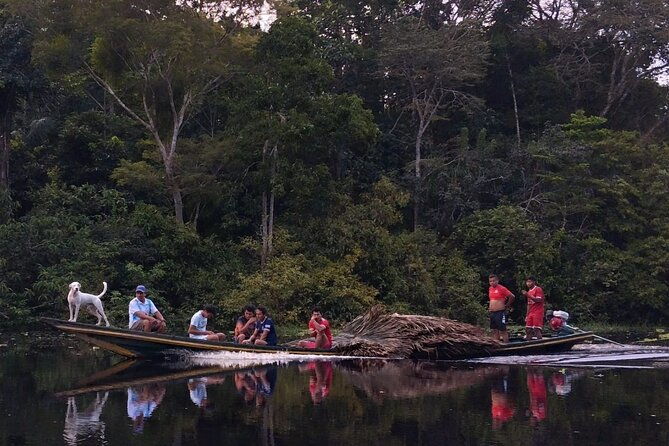 iquitos-jungle-tour-for-3-days