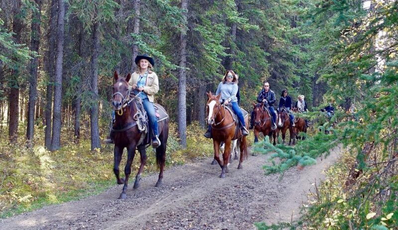 jackson-hole-bridger-teton-national-forest-horseback-ride
